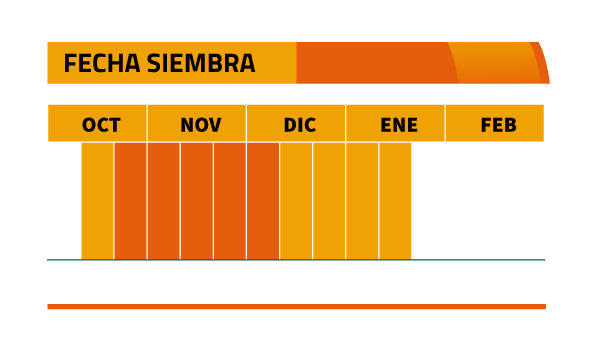 Calendario de siembra