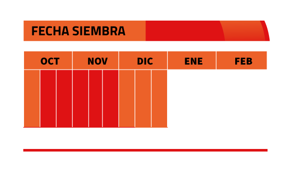 Calendario de siembra