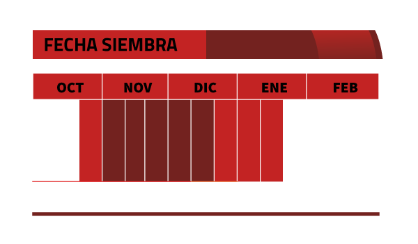 Calendario de siembra