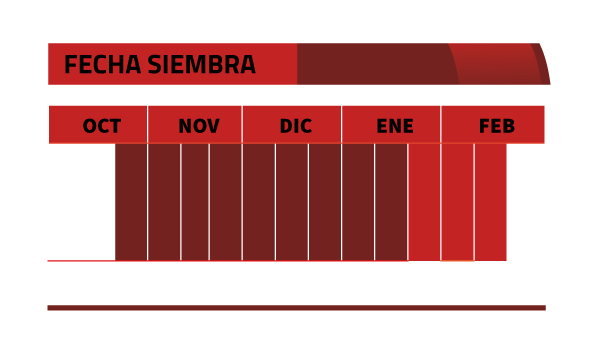 Calendario de siembra