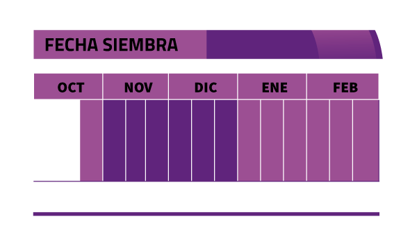 Calendario de siembra