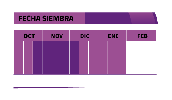 Calendario de siembra