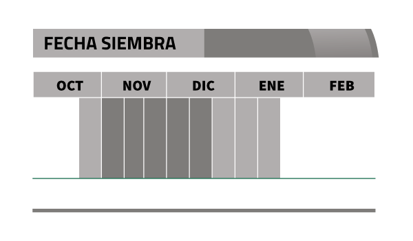 Calendario de siembra