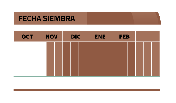 Calendario de siembra