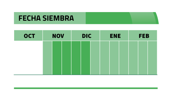 Calendario de siembra