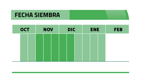 Calendario de siembra