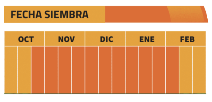 Calendario de siembra